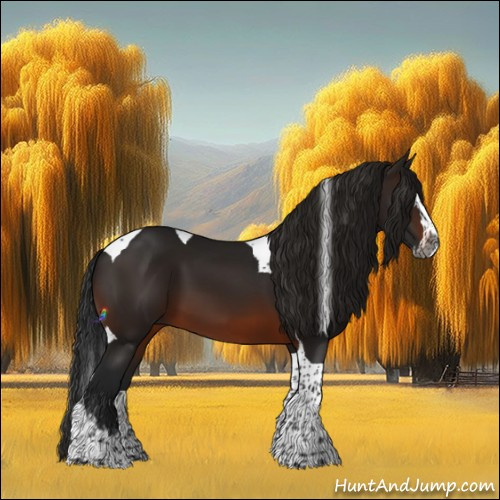 Horse Color:Gray Brown Splash Tobiano 