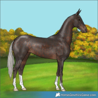 Horse Color:Silver Brown 