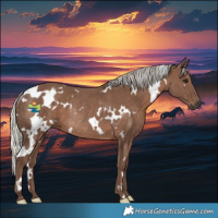 Horse Color:White Spotted Silver Black Rabicano 