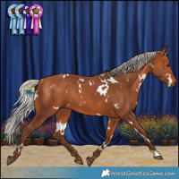 Horse Color:White Spotted Silver Bay Rabicano 