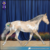 Horse Color:White Spotted Silver Smoky Black Pearl 