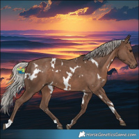 Horse Color:White Spotted Silver Black 