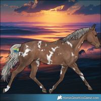 Horse Color:White Spotted Silver Black 