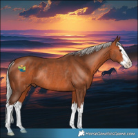 Horse Color:White Spotted Silver Brown Splash Rabicano 
