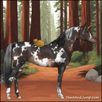 Horse Color:White Spotted Brown