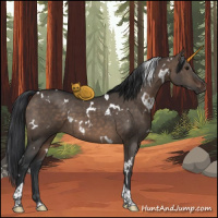 Horse Color:White Spotted Brown Dun Tobiano