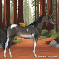 Horse Color:Brown Dun Tobiano