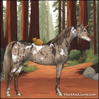 Horse Color:White Spotted Liver Red Dun Brindle 