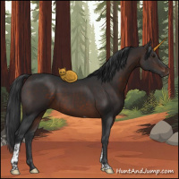 Horse Color:Brown Tobiano