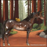 Horse Color:White Spotted Liver Chestnut 