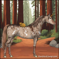 Horse Color:White Spotted Liver Red Dun Brindle 