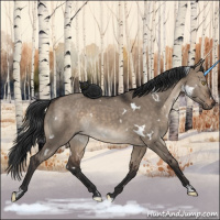 Horse Color:White Spotted Brown Dun 