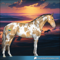 Horse Color:White Spotted Amber Cream Champagne 