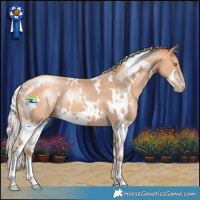 Horse Color:White Spotted Silver Amber Champagne 