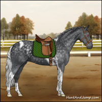 Horse Color:Silver Black Chinchilla Tobiano