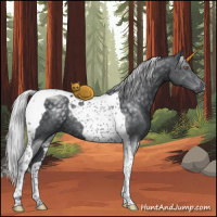 Horse Color:Silver Black Chinchilla Tobiano Rabicano 