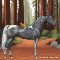 Horse Color:Silver Black Chinchilla Tobiano Rabicano