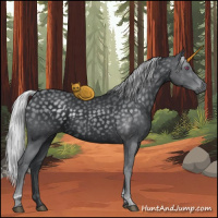 Horse Color:Silver Black Chinchilla Tobiano Rabicano 