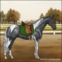 Horse Color:Silver Black Chinchilla Tobiano Rabicano 