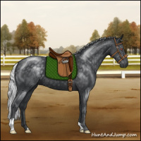 Horse Color:Silver Black Chinchilla 