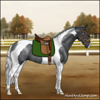Horse Color:Silver Black Chinchilla Tobiano Rabicano