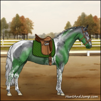 Horse Color:White Spotted Silver Black Chinchilla Ice Tobiano 