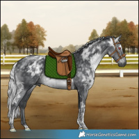 Horse Color:Silver Black Chinchilla Ice Tobiano Rabicano 