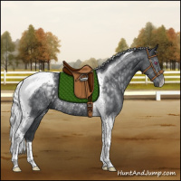 Horse Color:Silver Black Chinchilla Tobiano Rabicano