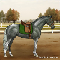 Horse Color:Silver Black Chinchilla Tobiano Rabicano