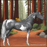 Horse Color:Silver Black Chinchilla Tobiano Rabicano