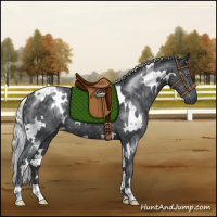 Horse Color:White Spotted Silver Black Chinchilla Rabicano