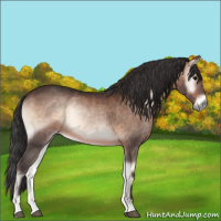 Horse Color:Brown Onyx 