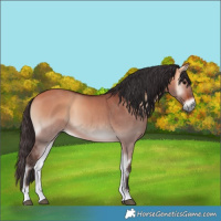 Horse Color:Bay Onyx 