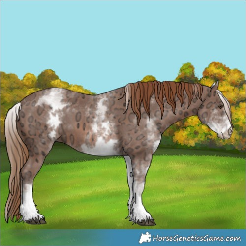 Horse Color:White Spotted Chestnut Ice 