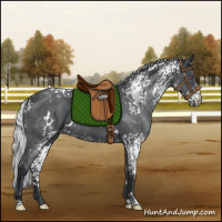 Horse Color:White Spotted Silver Black Chinchilla Rabicano