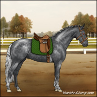 Horse Color:Silver Black Chinchilla Tobiano Rabicano