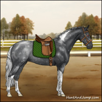 Horse Color:Silver Black Chinchilla Tobiano Rabicano