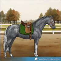 Horse Color:Silver Black Chinchilla Tobiano Rabicano