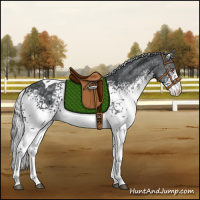 Horse Color:White Spotted Silver Black Chinchilla Tobiano Rabicano 
