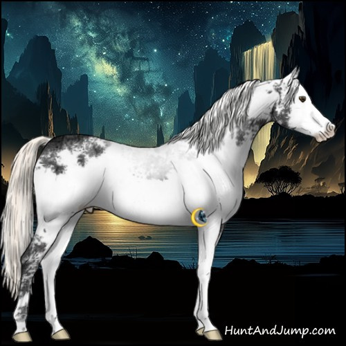 Horse Color:White Spotted Liver Chestnut Ice Mushroom 