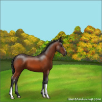 Horse Color:Brown 