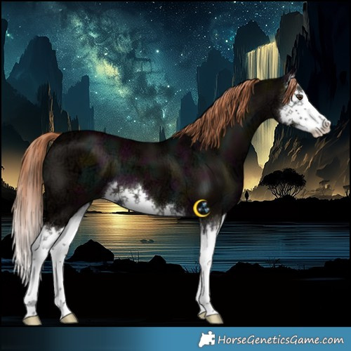 Horse Color:Midnight Liver Red Dun Ice Splash