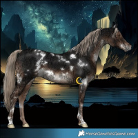 Horse Color:White Spotted Liver Chestnut Ice 