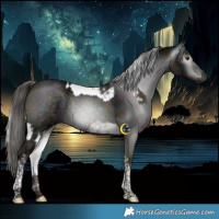 Horse Color:White Spotted Liver Red Dun Ice Mushroom Splash Tobiano  and Gray Midnight Liver Red Dun Ice Tobiano Rabicano 