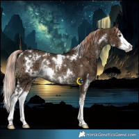 Horse Color:White Spotted Liver Red Dun Ice Splash Rabicano Brindle 
