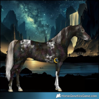 Horse Color:Gray Midnight Liver Red Dun Ice Splash Tobiano Rabicano Brindle and Midnight Liver Red Dun Ice Tobiano Rabicano