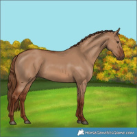 Horse Color:Red Dun 