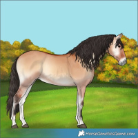 Horse Color:Bay Onyx 