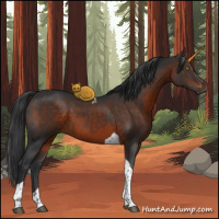 Horse Color:Brown Sabino Tobiano