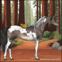 Horse Color:Brown Dun Tobiano
